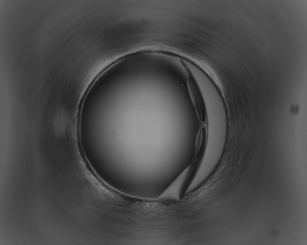 X0000091670903200708301457