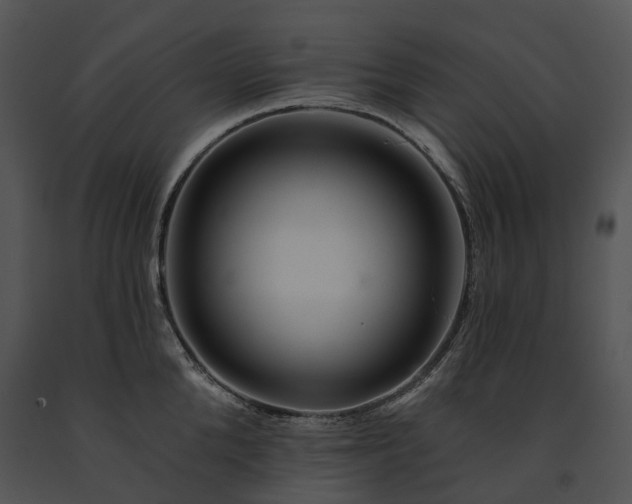 X0000091670904200708301457