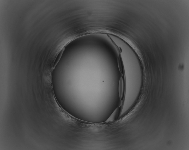 X0000091670905200708301457