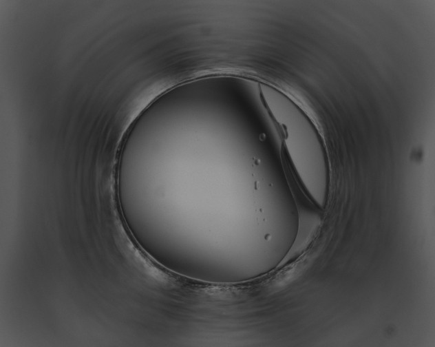 X0000091670906200708301457