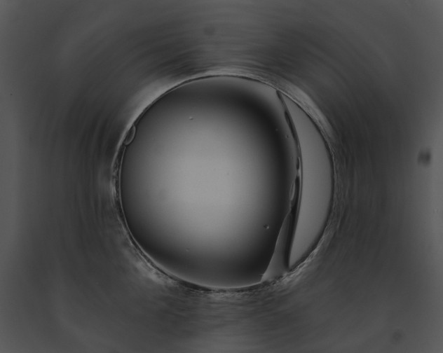 X0000091670908200708301457