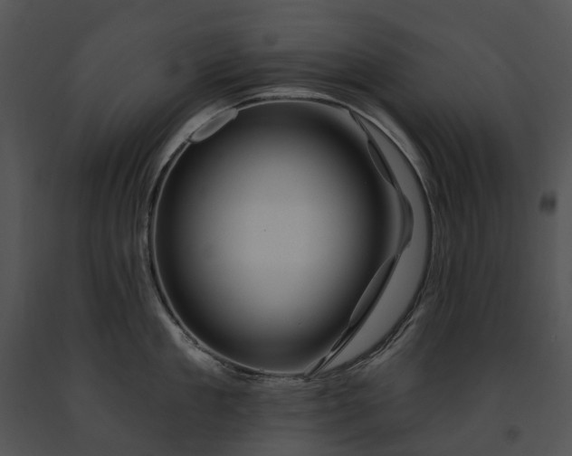 X0000091670909200708301457