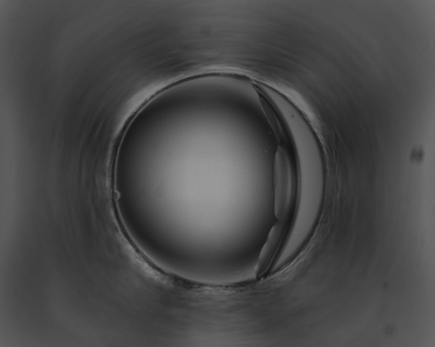 X0000091670910200708301457