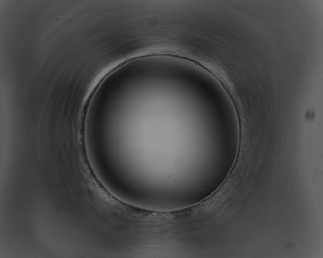 X0000091670912200708301457