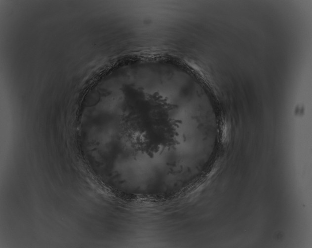 X0000091670913200708301456