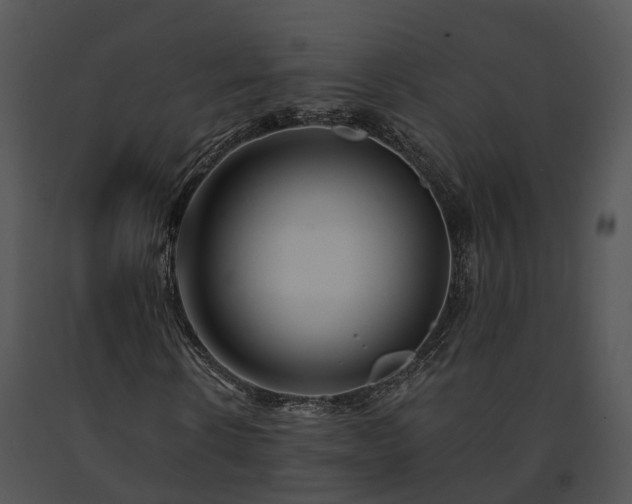 X0000091670914200708301456