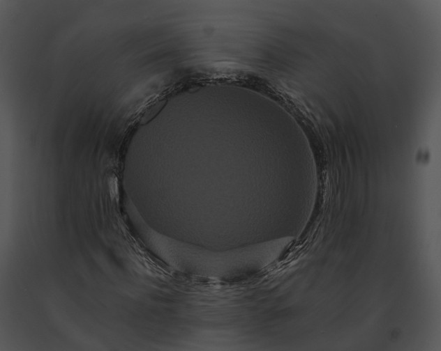 X0000091670916200708301456