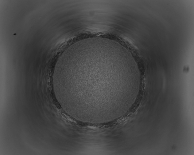 X0000091670917200708301456