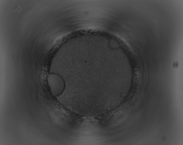 X0000091670918200708301456