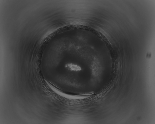 X0000091670919200708301456