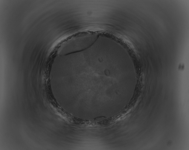 X0000091670920200708301456