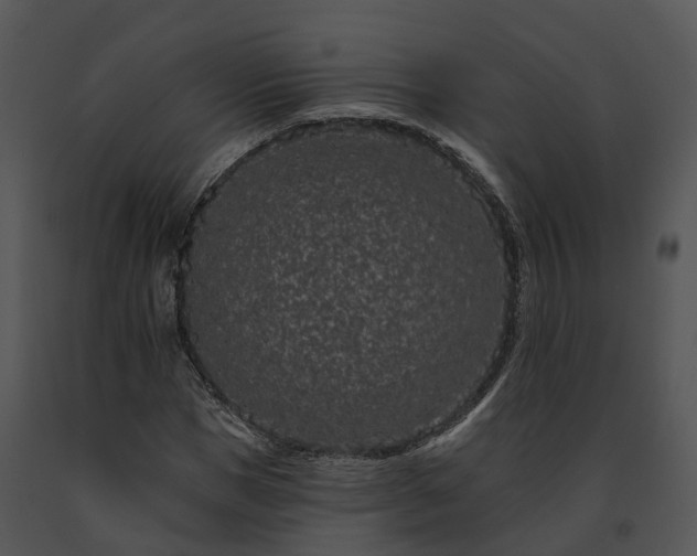 X0000091670921200708301456