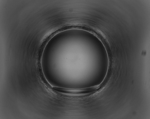 X0000091670922200708301456