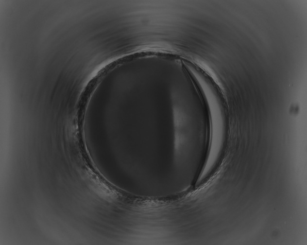 X0000091670923200708301456