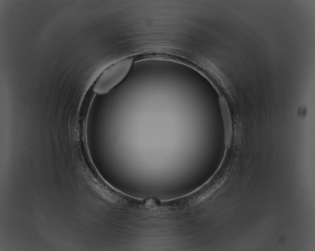 X0000091670924200708301456