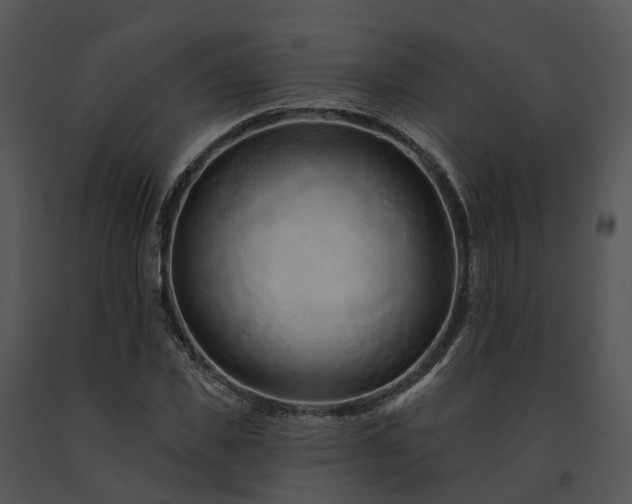 X0000091670925200708301456