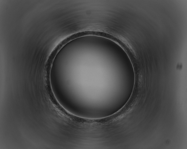 X0000091670926200708301456