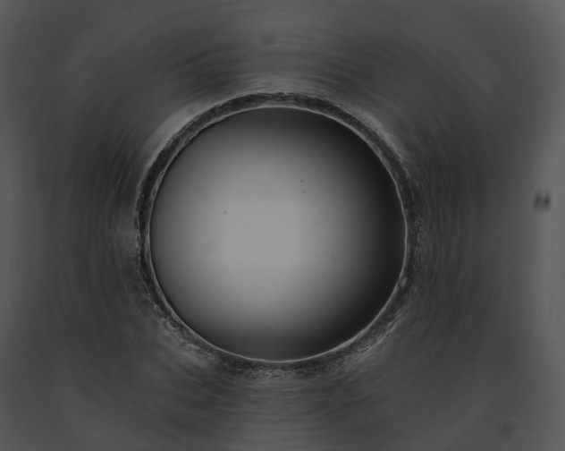 X0000091670927200708301456