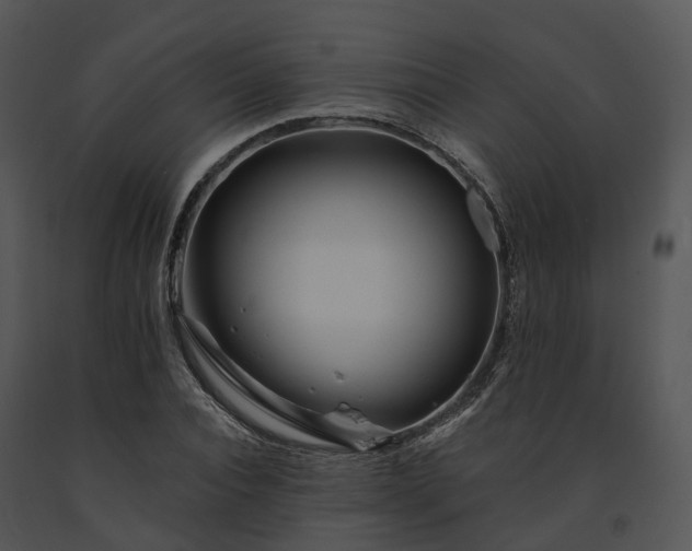 X0000091670928200708301456