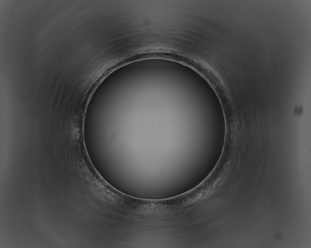 X0000091670929200708301456