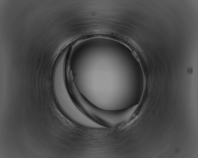 X0000091670930200708301456