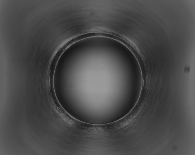 X0000091670931200708301456