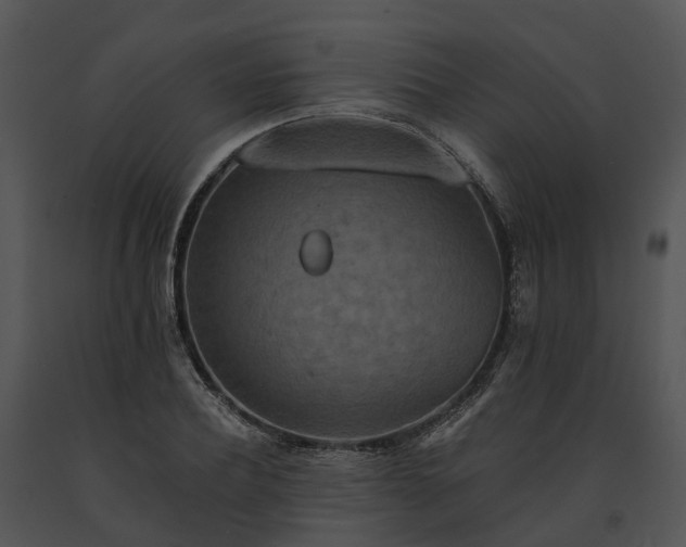 X0000091670932200708301456