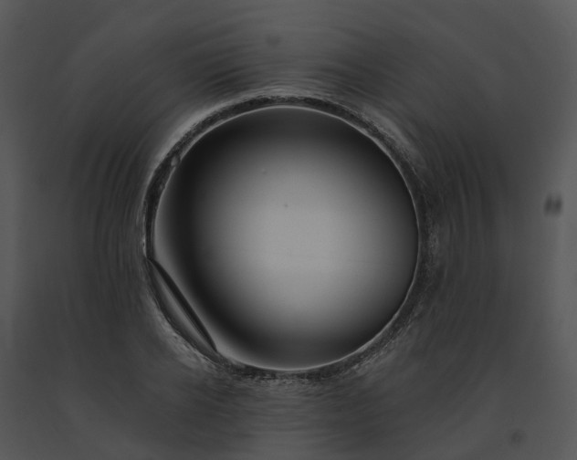 X0000091670934200708301456