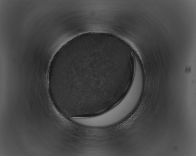 X0000091670935200708301456