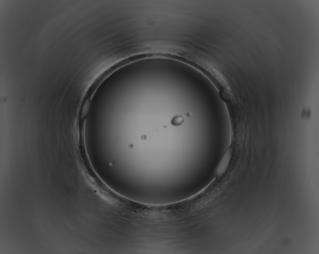 X0000091670936200708301456