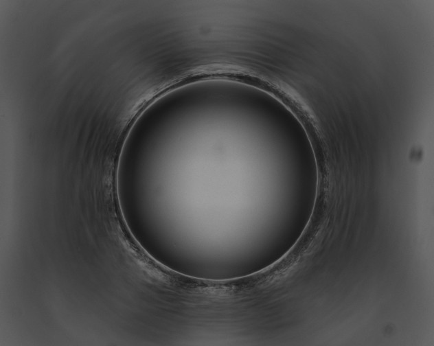 X0000091670937200708301456