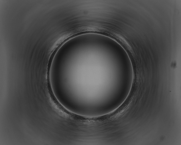 X0000091670938200708301456