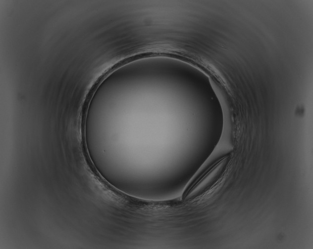 X0000091670939200708301456