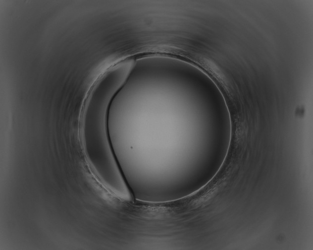 X0000091670940200708301456