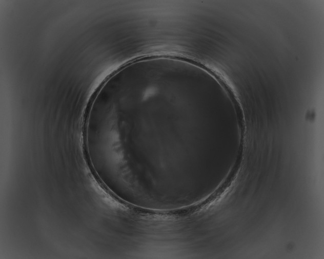 X0000091670941200708301456