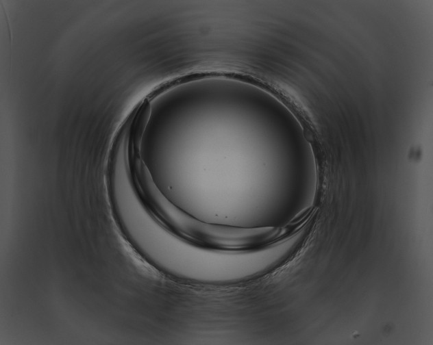 X0000091670942200708301456