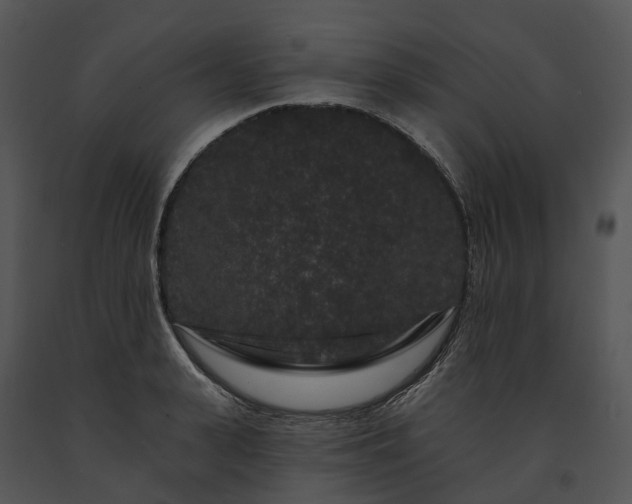 X0000091670943200708301456