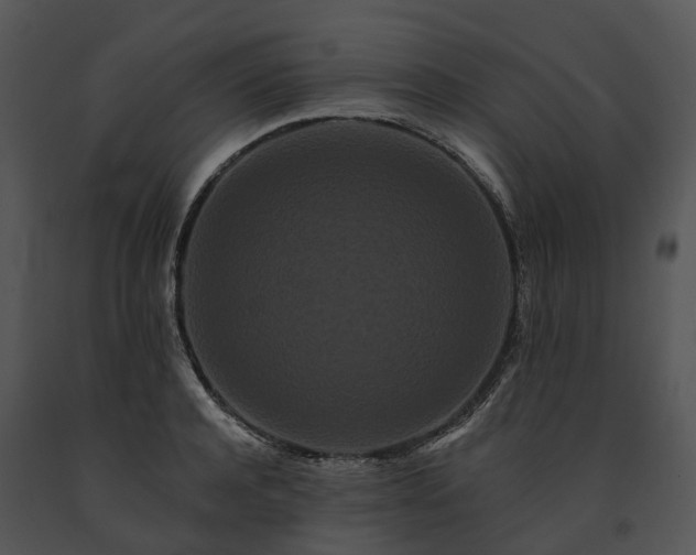 X0000091670944200708301456