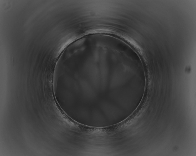 X0000091670945200708301456