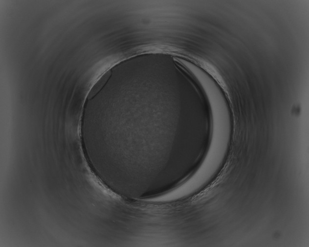 X0000091670946200708301456