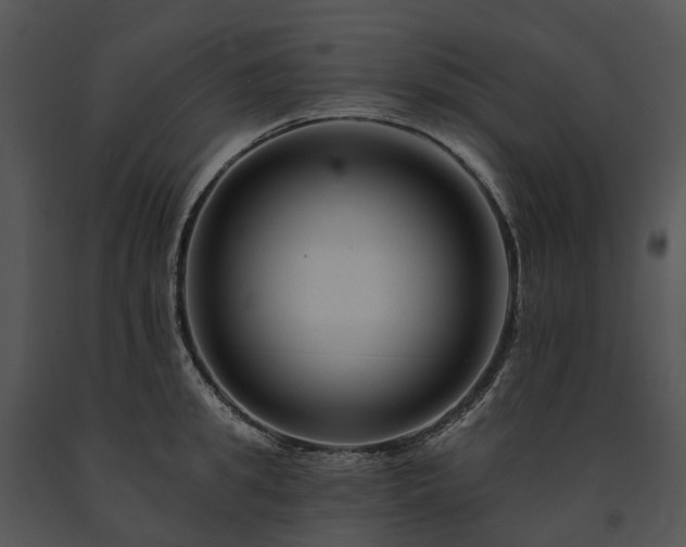 X0000091670949200708301456