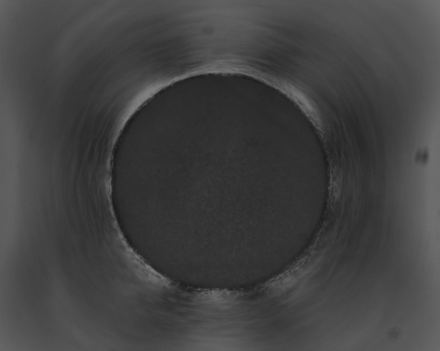 X0000091670950200708301456