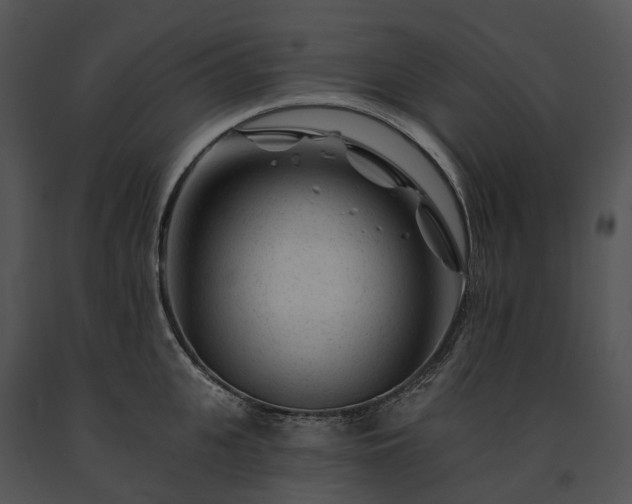 X0000091670951200708301456