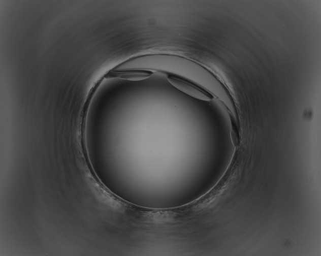 X0000091670952200708301456