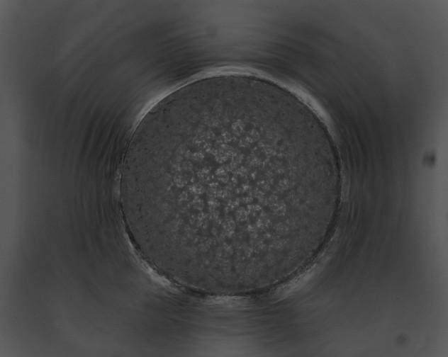 X0000091670953200708301456
