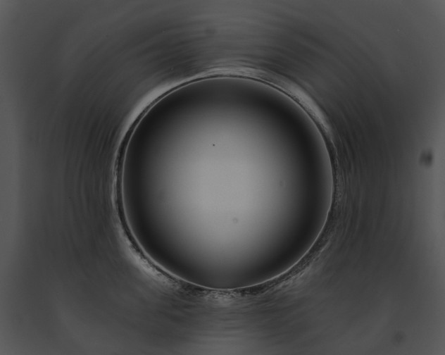 X0000091670955200708301456