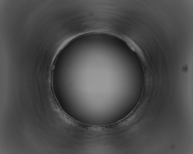 X0000091670956200708301457