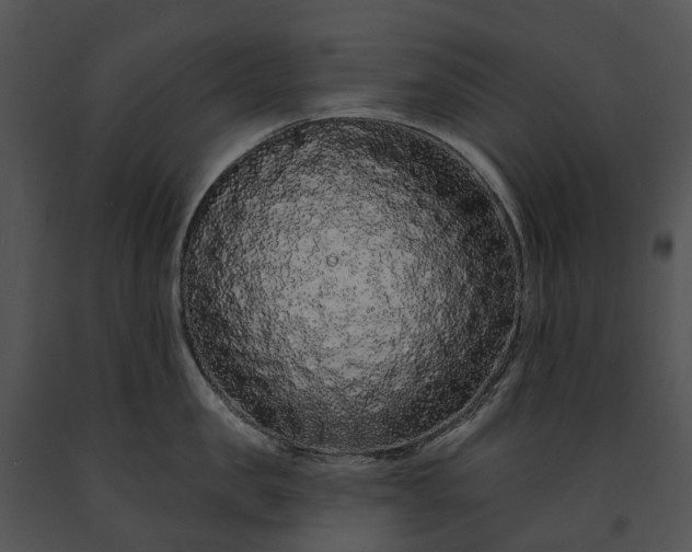 X0000091670957200708301457