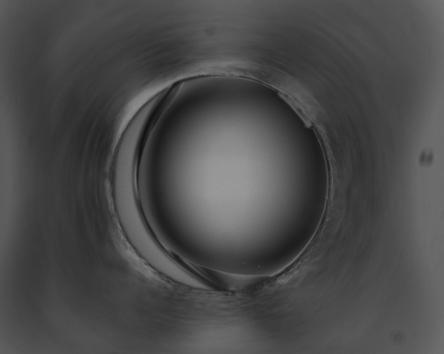 X0000091670960200708301457