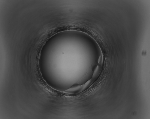 X0000091670961200708301456